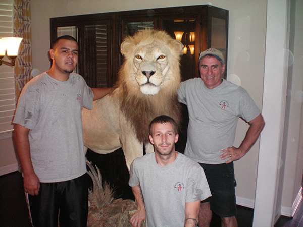 Moving a Taxidermy Animal | Specialty Item Moving Houston